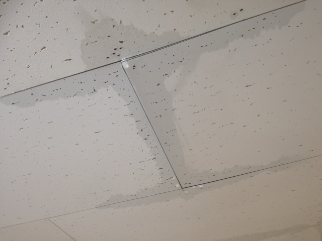 尼崎の雨漏り修理は株式会社佑誠防水へ 雨漏りした屋根